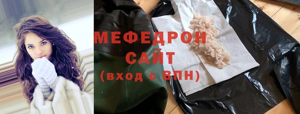 индика Дмитров