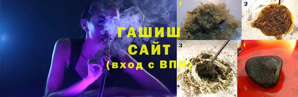 индика Медвежьегорск