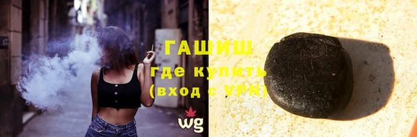 индика Дмитров