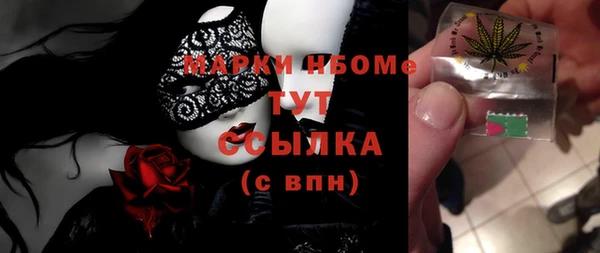 молекула духа Мегион