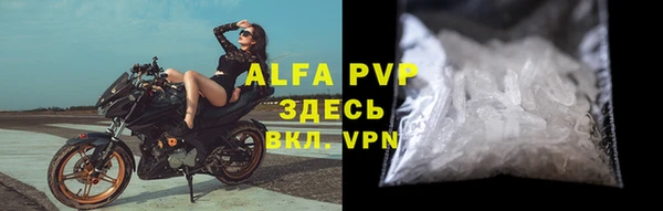 индика Дмитров