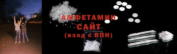 индика Дмитров