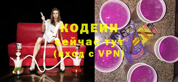 индика Медвежьегорск