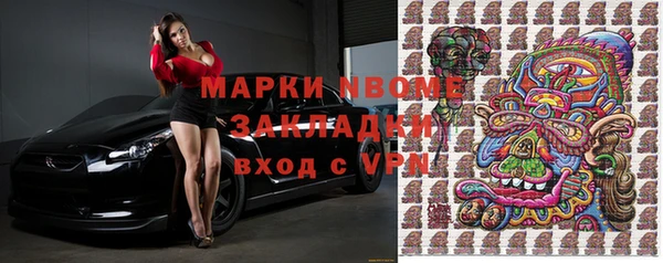 индика Дмитров