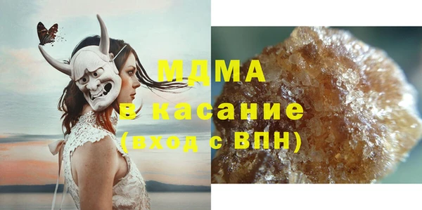 индика Дмитров