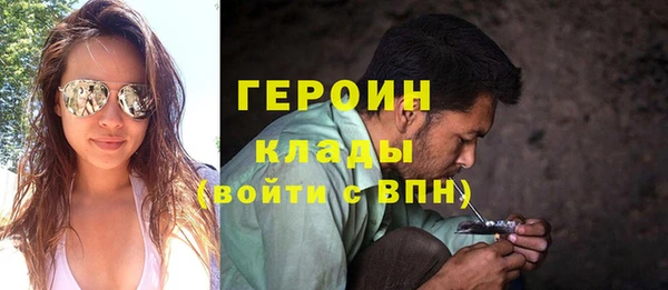 индика Дмитров