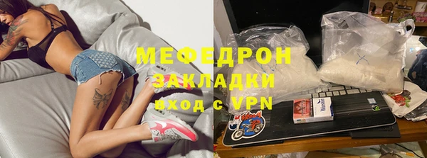 индика Дмитров