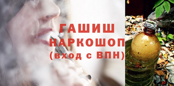 индика Дмитров