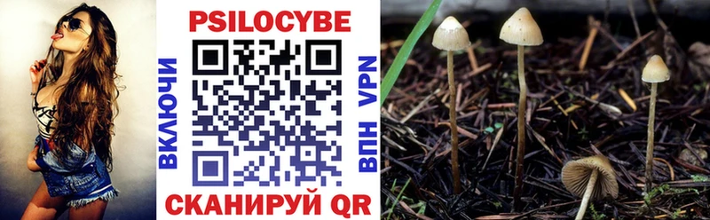 блэк спрут маркетплейс  Невельск  Псилоцибиновые грибы ЛСД 